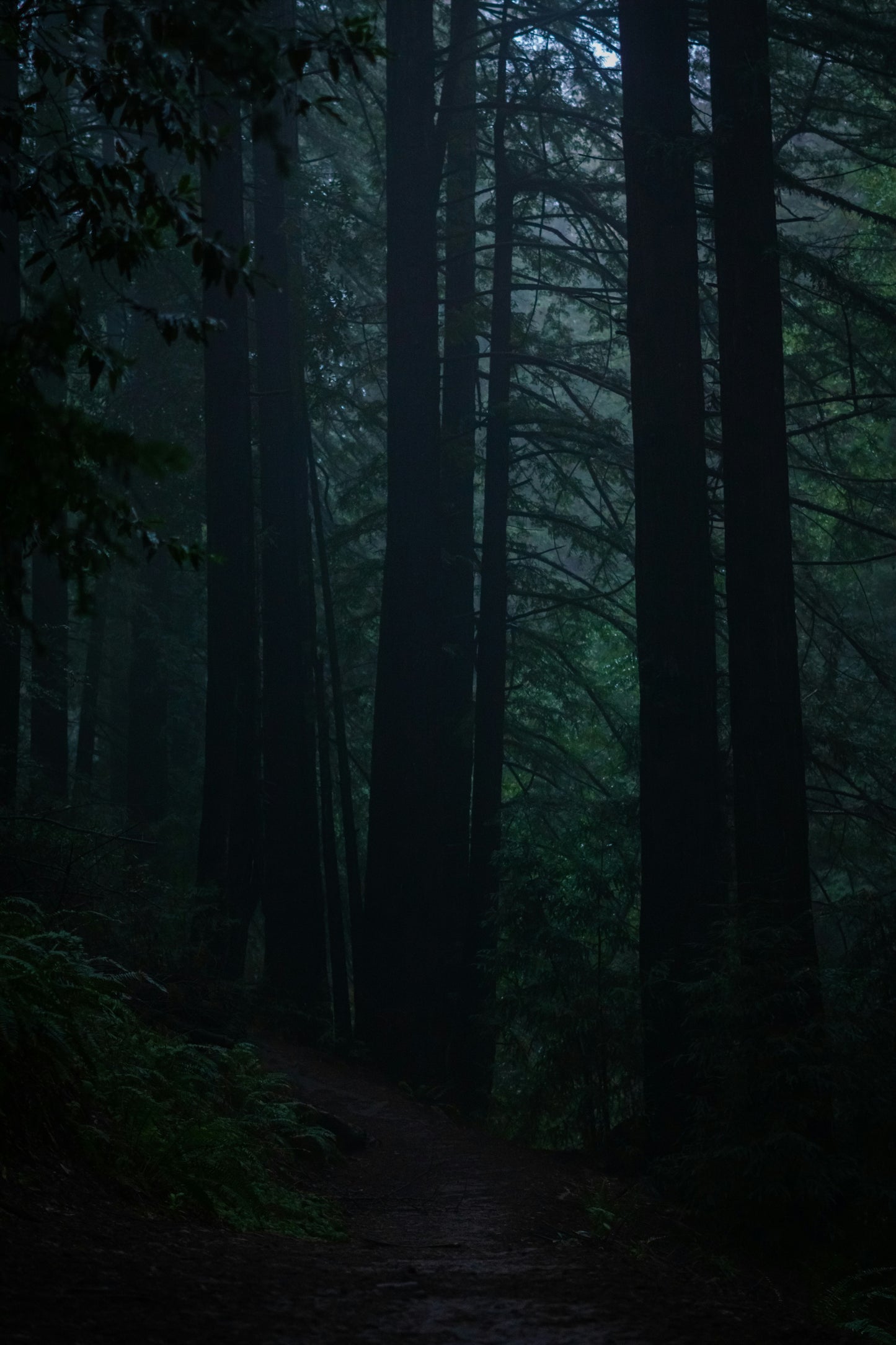 When the Truth Breaks You Open — Navigating Family Secrets That Change Everything