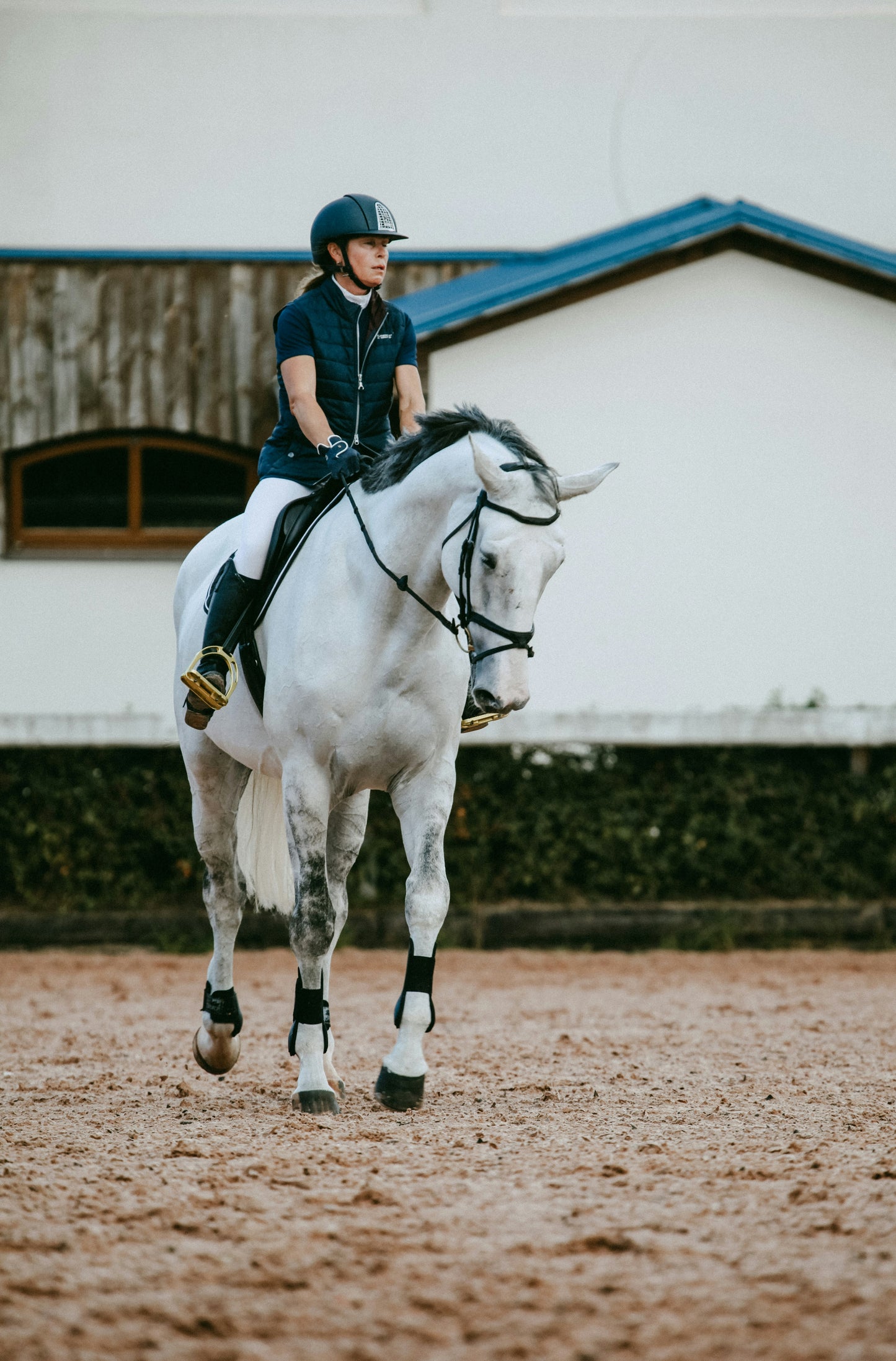 Your Journey into Horse Ownership