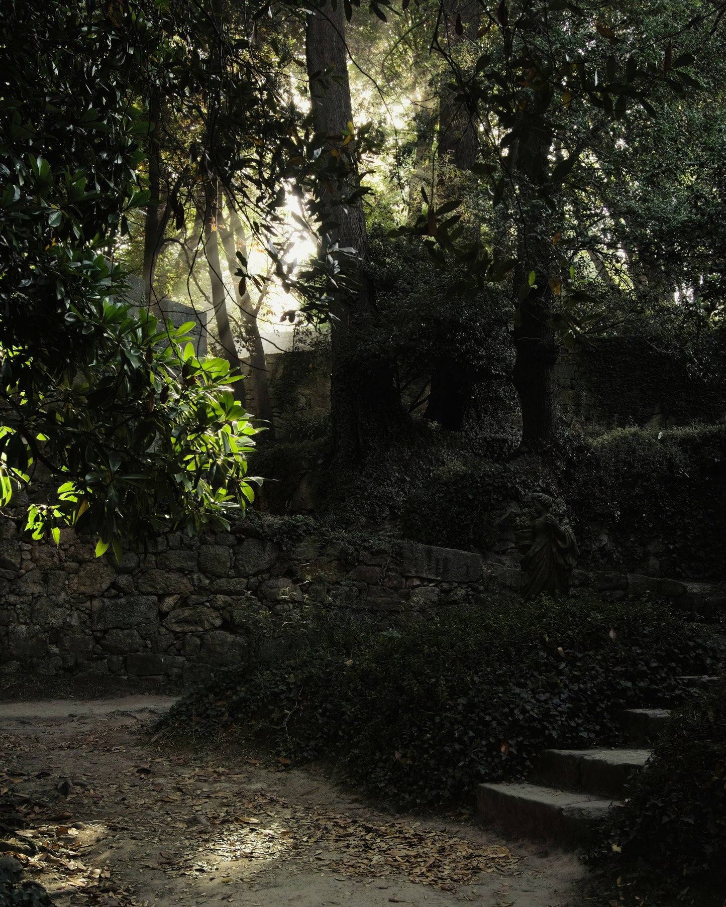 When the Truth Breaks You Open — Navigating Family Secrets That Change Everything