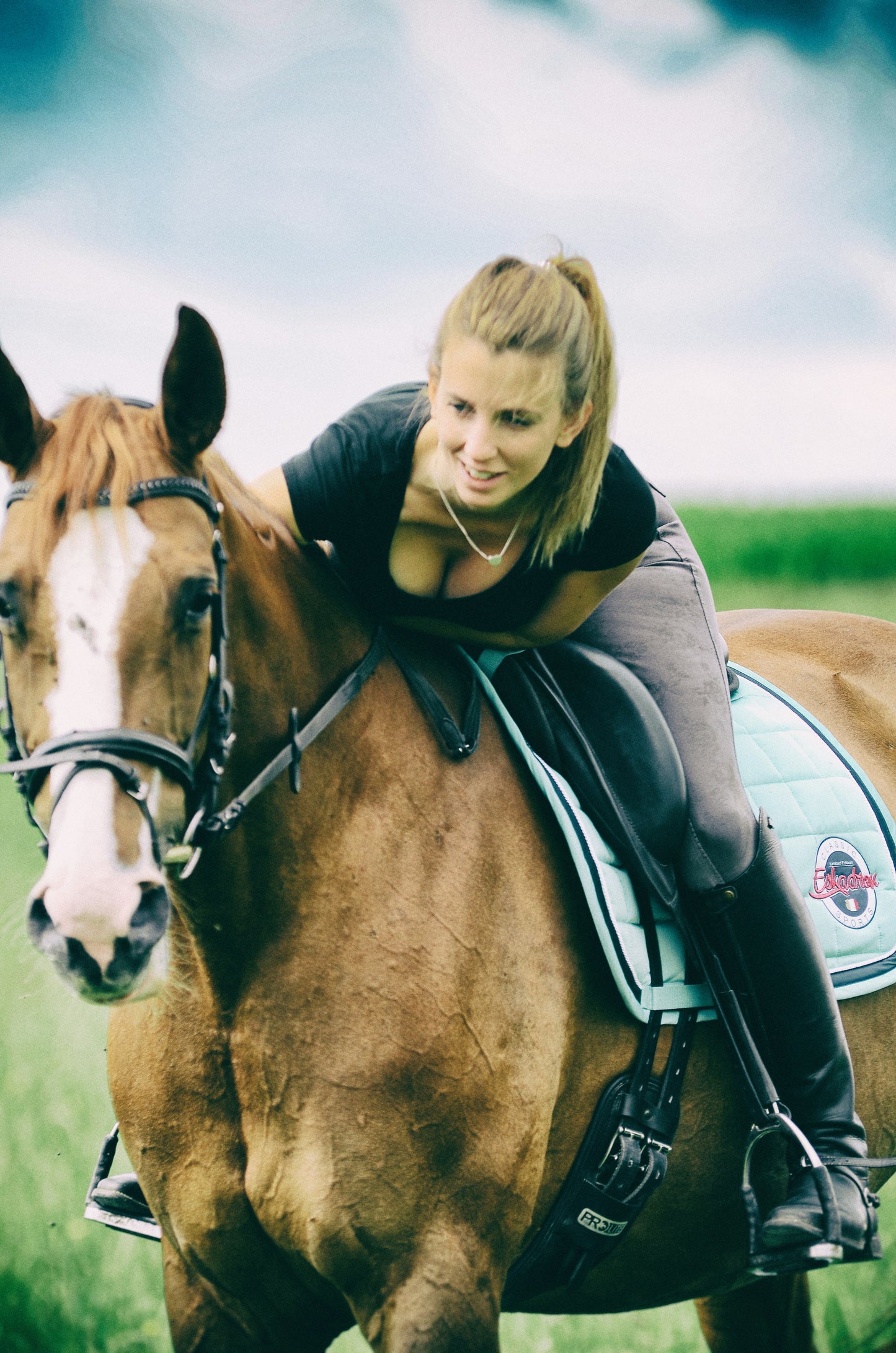Your Journey into Horse Ownership