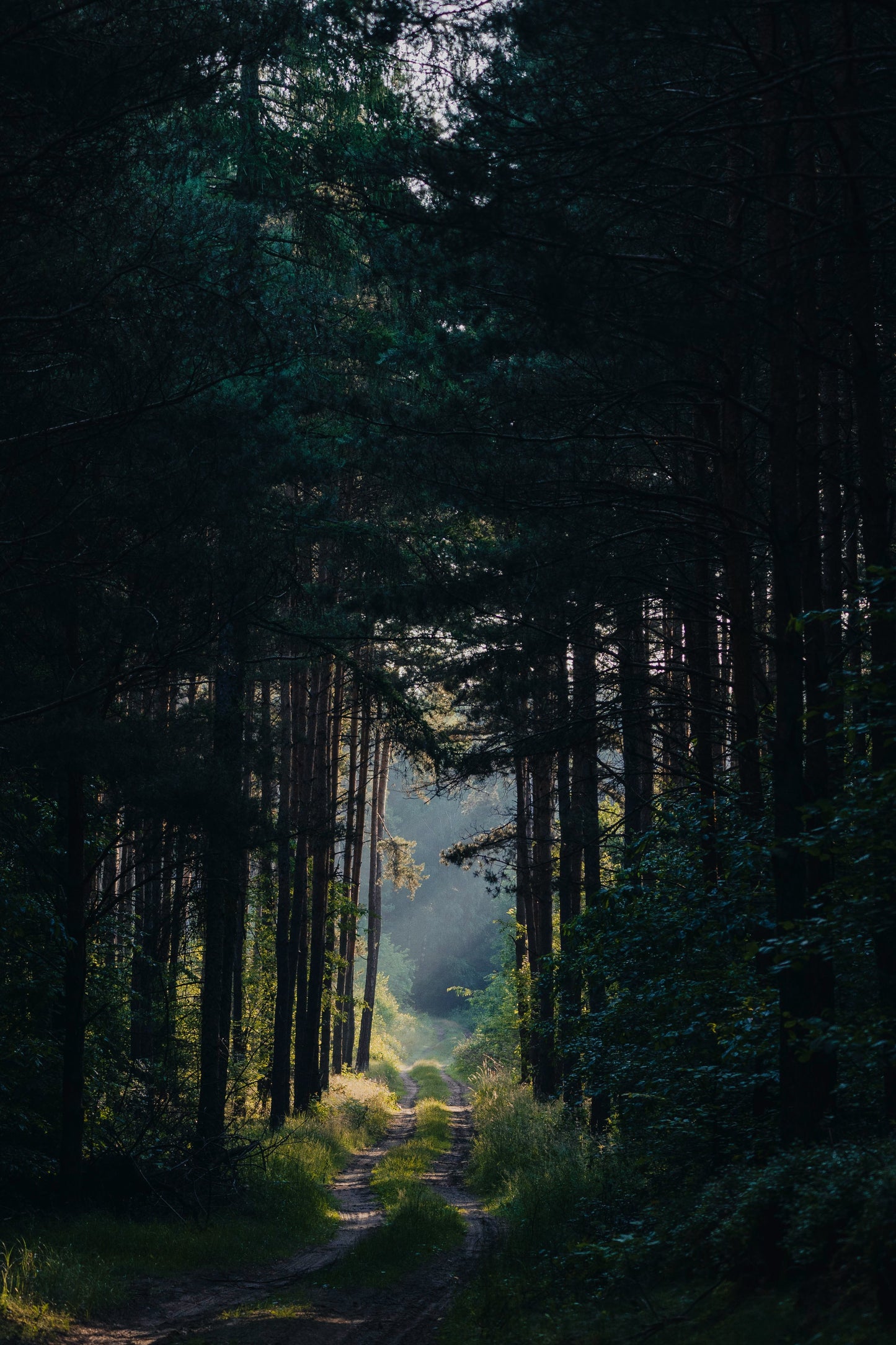 When the Truth Breaks You Open — Navigating Family Secrets That Change Everything