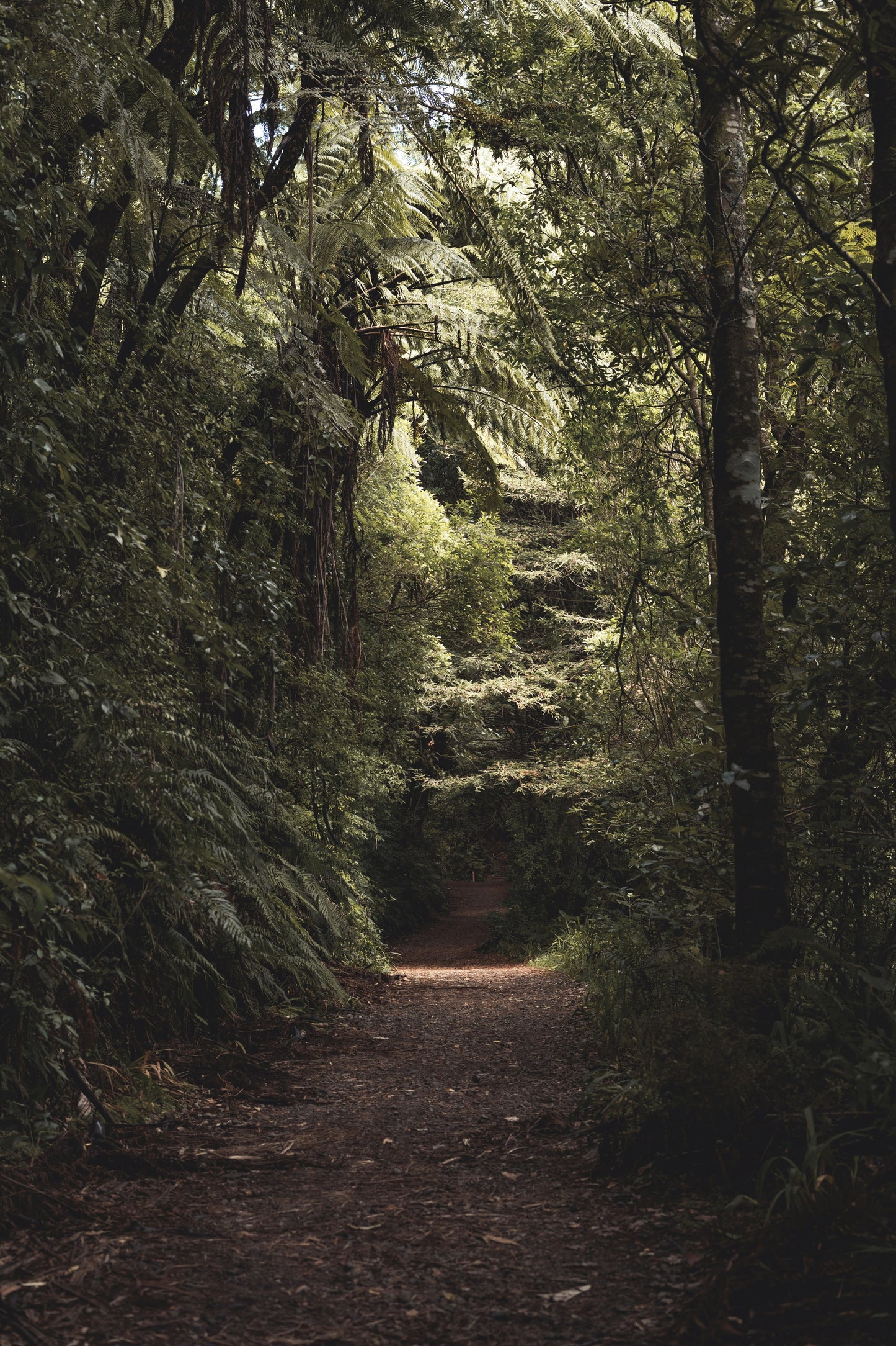 When the Truth Breaks You Open — Navigating Family Secrets That Change Everything