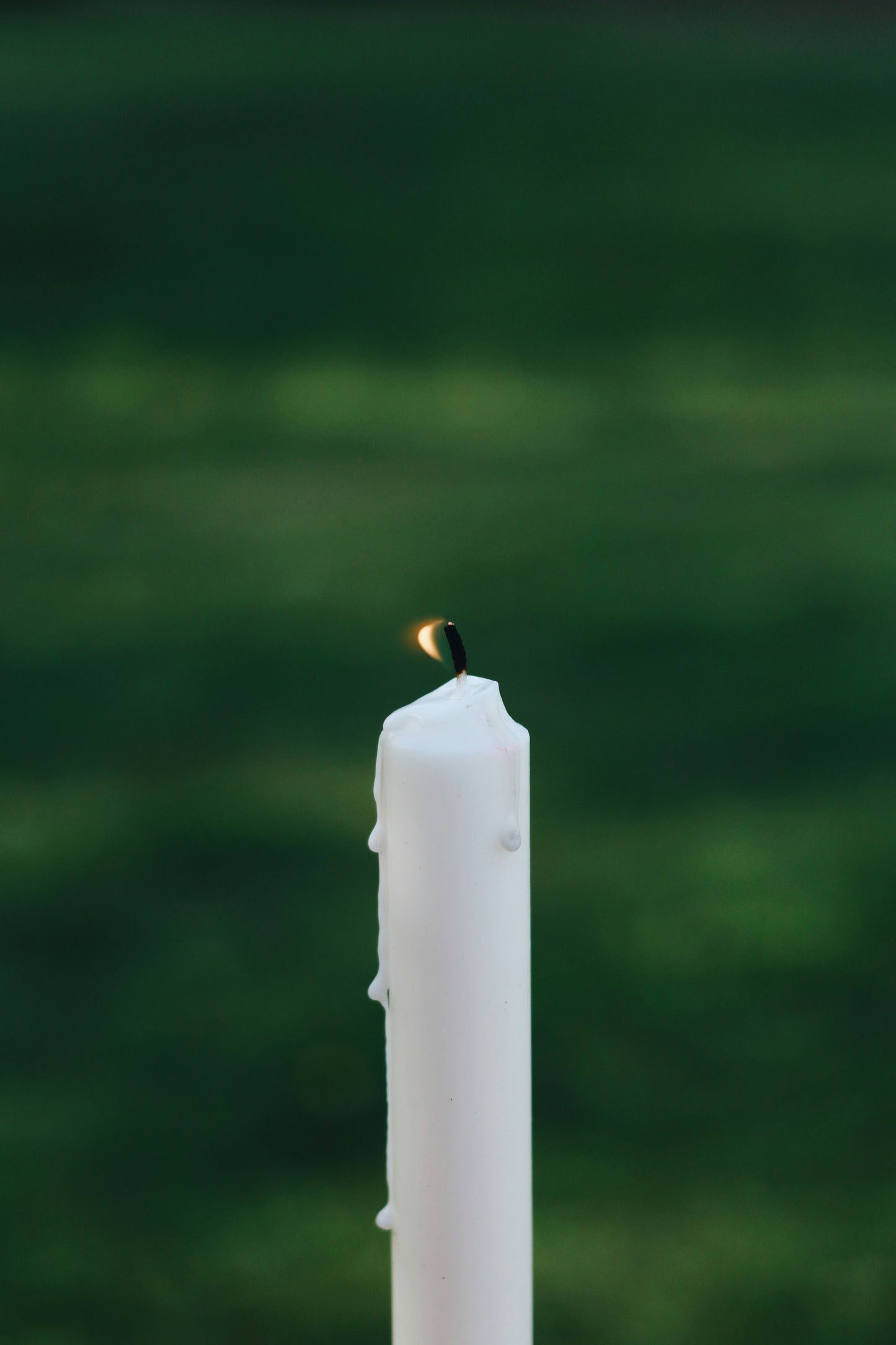 Holding On to Love After Loss: A Guide for Bereaved Parents