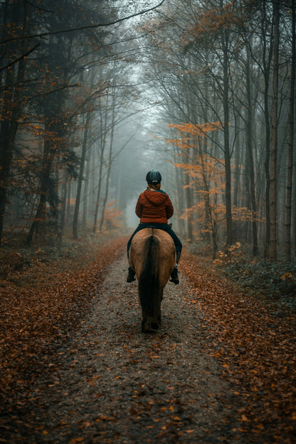 Your Journey into Horse Ownership