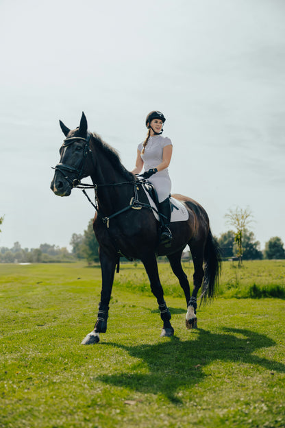 Your Journey into Horse Ownership