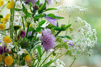 Summer Ailments & Soothing Remedies – Home Health Guide (Digital Download)