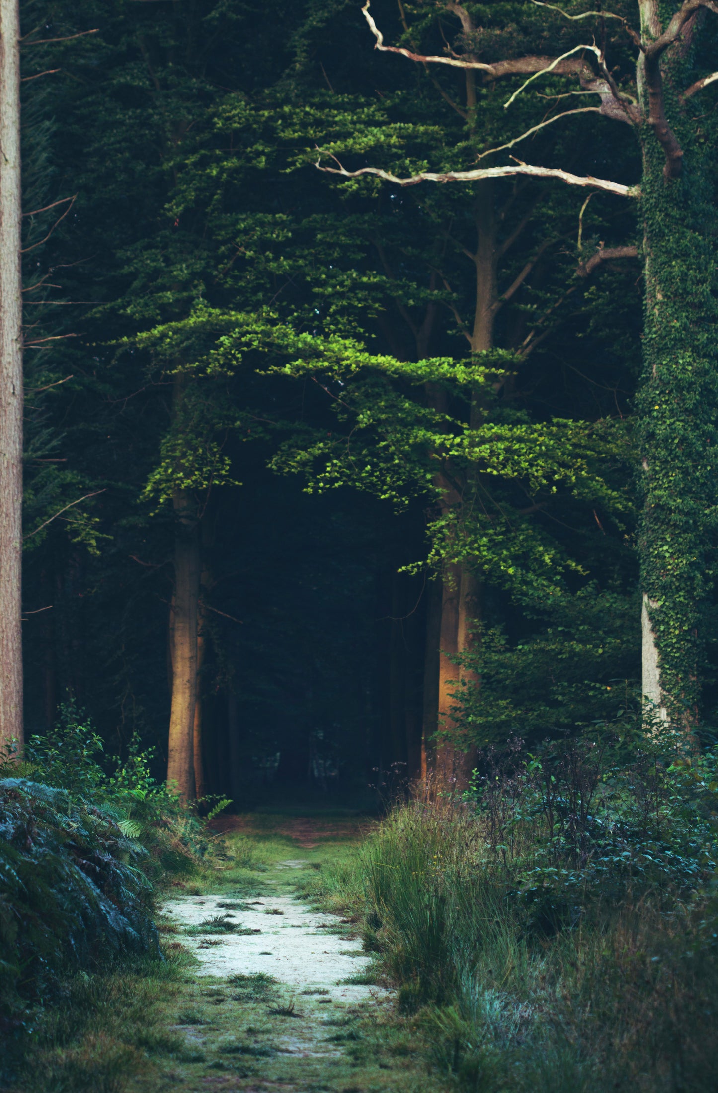When the Truth Breaks You Open — Navigating Family Secrets That Change Everything