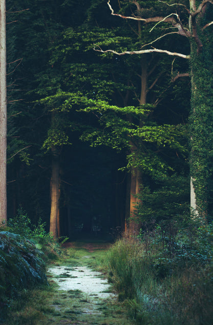 When the Truth Breaks You Open — Navigating Family Secrets That Change Everything