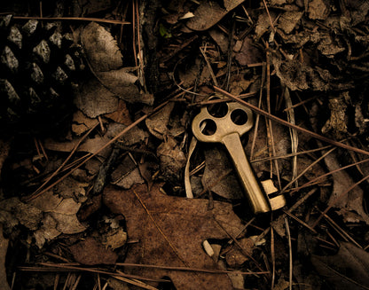 When the Truth Breaks You Open — Navigating Family Secrets That Change Everything