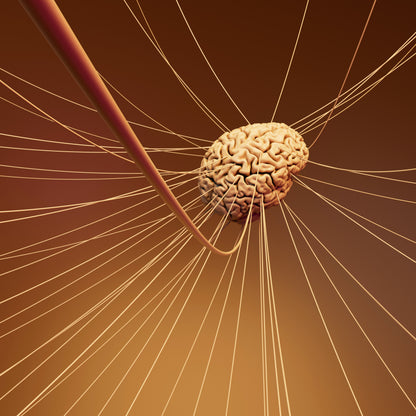 The Complete Patient Guide to Multiple Sclerosis