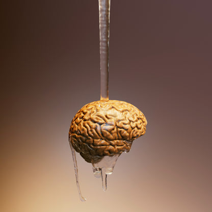 The Complete Patient Guide to Multiple Sclerosis