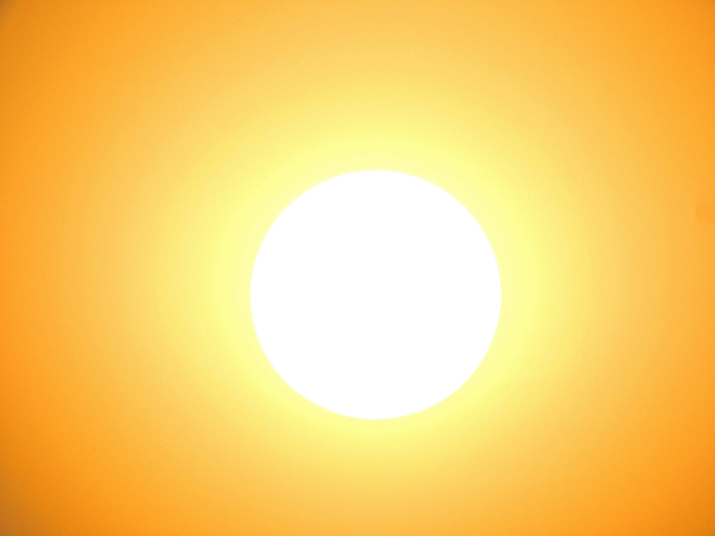 Summer Ailments & Soothing Remedies – Home Health Guide (Digital Download)