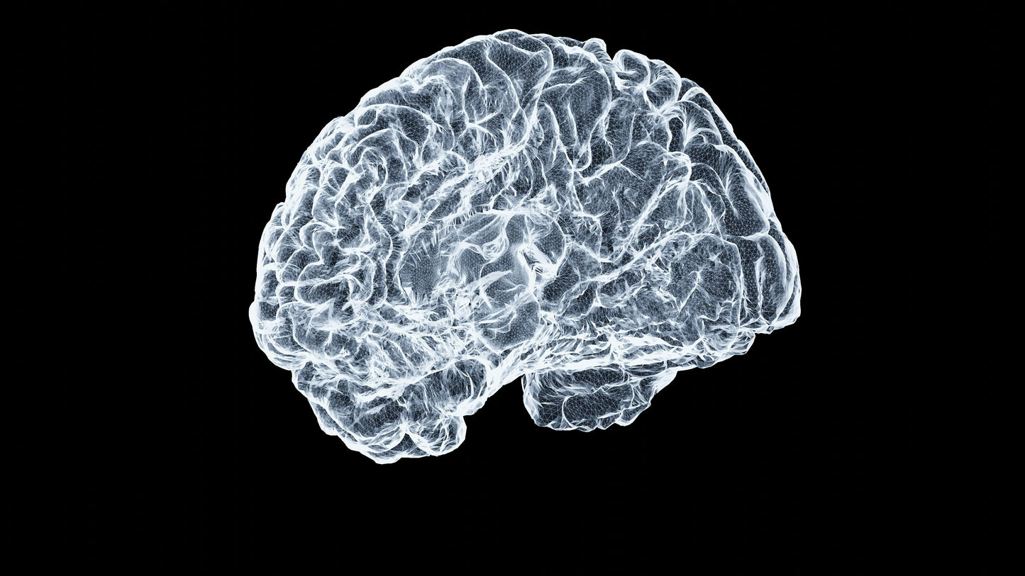 The Complete Patient Guide to Multiple Sclerosis