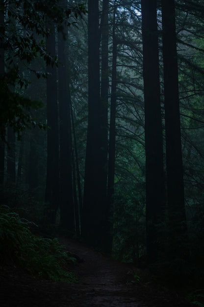When the Truth Breaks You Open — Navigating Family Secrets That Change Everything