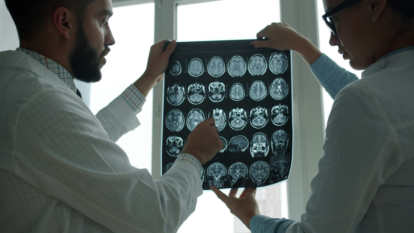 The Complete Patient Guide to Multiple Sclerosis